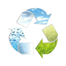 La Responsabilité Sociétale des Entreprises